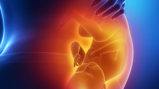 Errores congénitos del metabolismo (ECM) & Factores preconcepcionales del desarrollo infantil